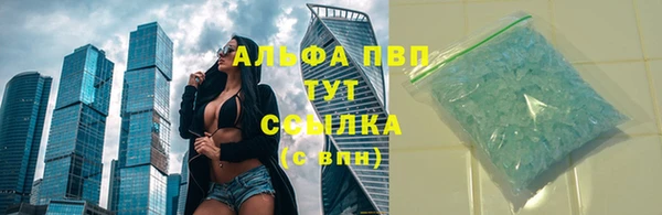 spice Инсар