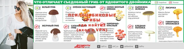 spice Инсар
