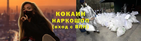 spice Инсар