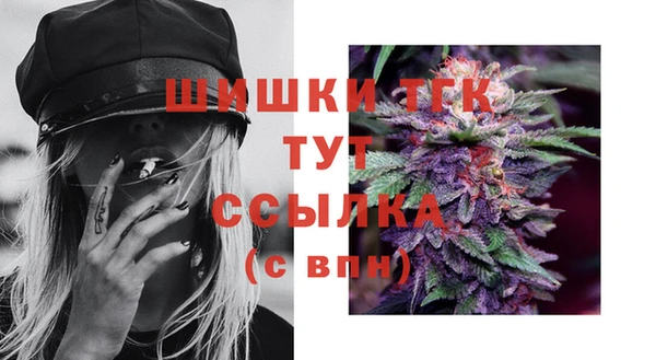 спиды Инта