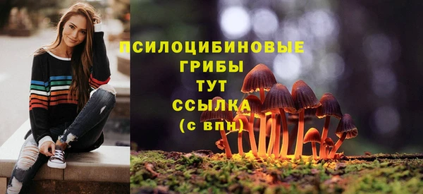 spice Инсар