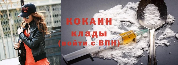 spice Инсар