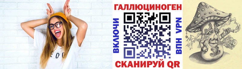 Галлюциногенные грибы Cubensis  Купить где  Дмитровск 